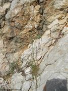 Rudelić Draga 03/2014