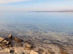 180302 11088 txt.jpg