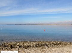 180302 11087 txt.jpg