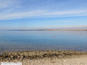 180302 11087 txt.jpg