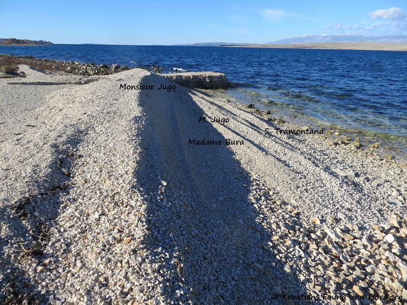 Datei:190212 0139 k Erklärung.jpg