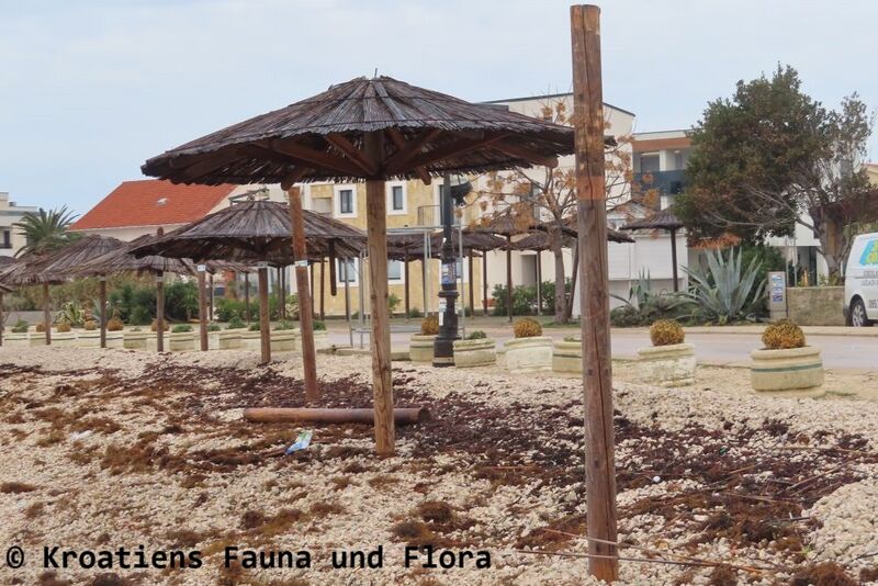 Datei:240224 4821.jpg