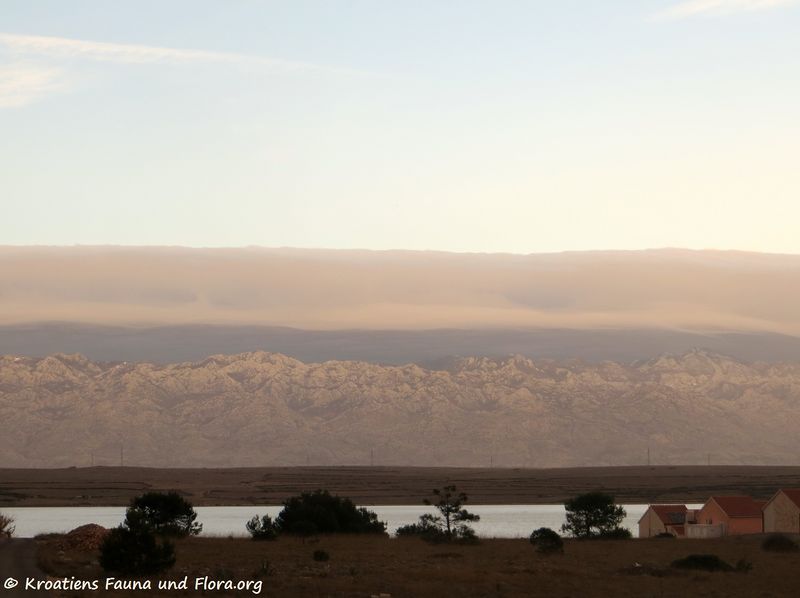 Datei:190225 0222k.jpg