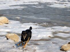 180227 Salziger Schaum 5 unbändige Freude.jpg