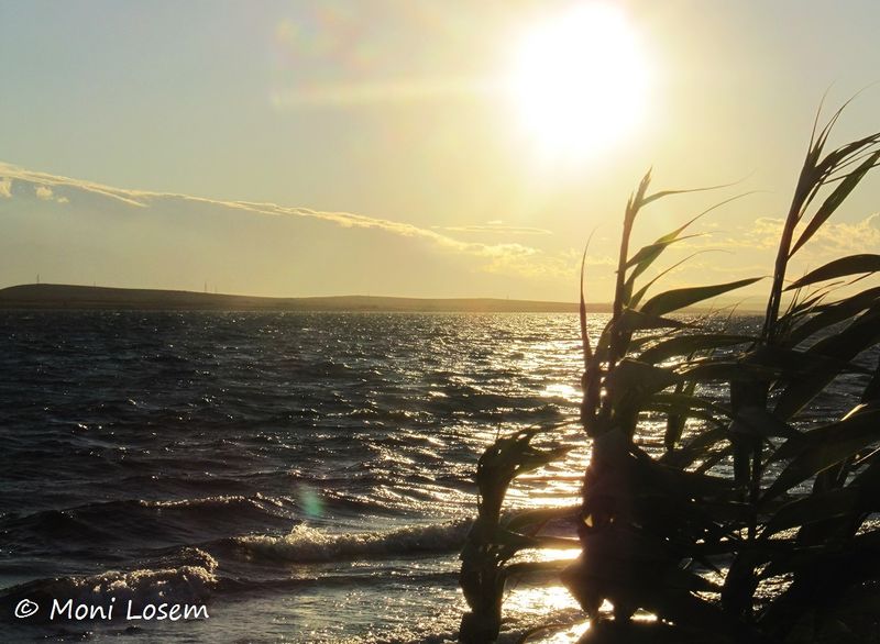 Datei:Abklingen 150929 2053 k.jpg