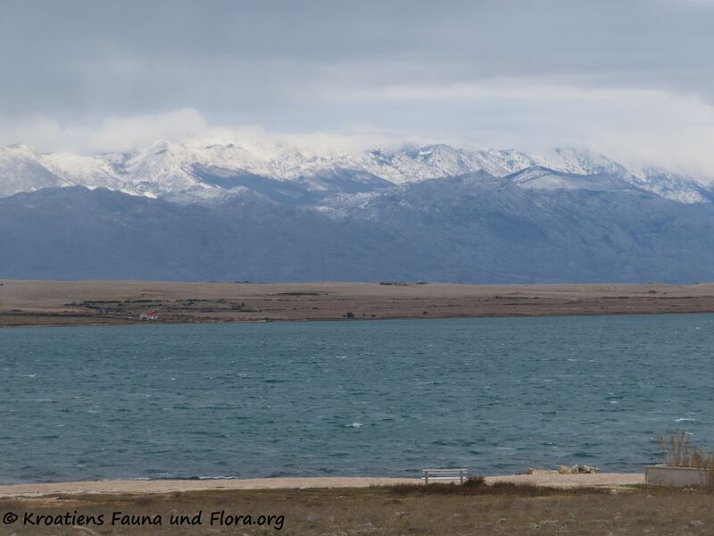 Datei:220106 31121.jpg