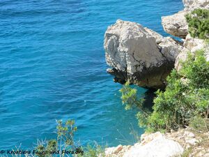 190914 1505 Sta Nov K.jpg