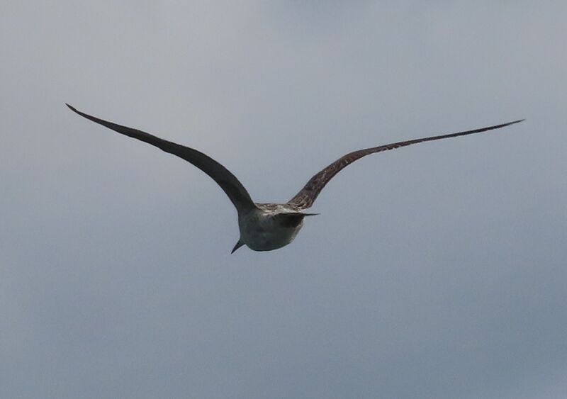 Datei:251118 6998 D.JPG