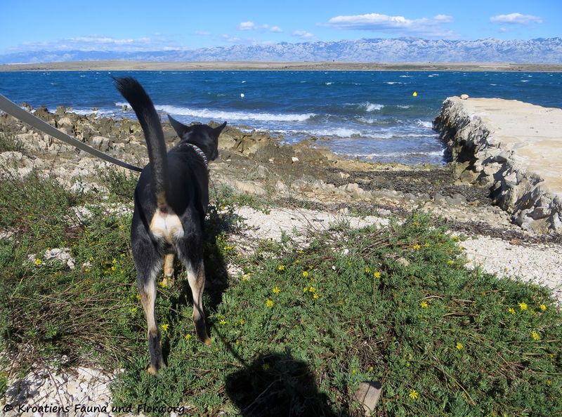 Datei:180925 14811 k.jpg