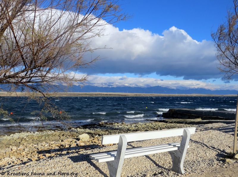 Datei:181231 15903 k.jpg