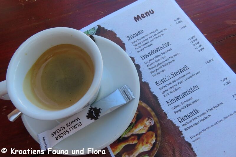 Datei:240601 8021.JPG