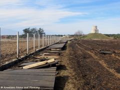 190224 0197 Nin k.jpg