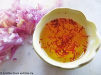 Safran 171129 10193 k.jpg