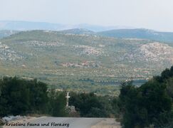 Die Straße mit der letzten Station des Kreuzweges