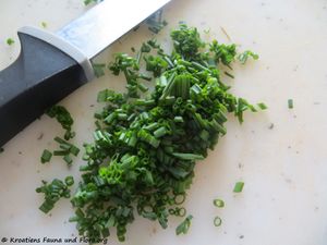 Schnittlauch 180423 12762 txt.jpg